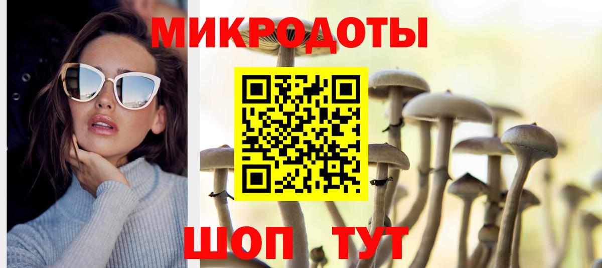 Псилоцибиновые грибы MAGIC MUSHROOMS  Вход с VPN  Петропавловск-Камчатский  даркнет сайт  Псилоцибиновые грибы прущие грибы 
