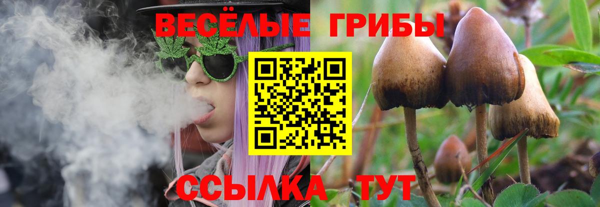 Псилоцибиновые грибы мицелий Петропавловск-Камчатский